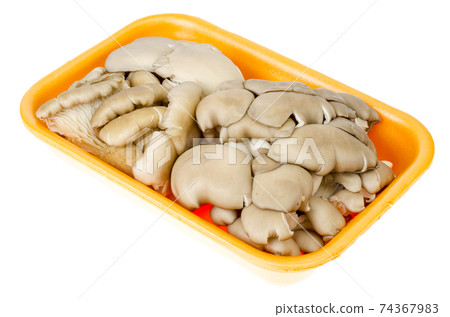 Fresh raw oyster mushrooms in package on white background 74367983