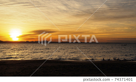 湘南三浦半島神奈川縣三浦市三浦海岸的黎明 74371401