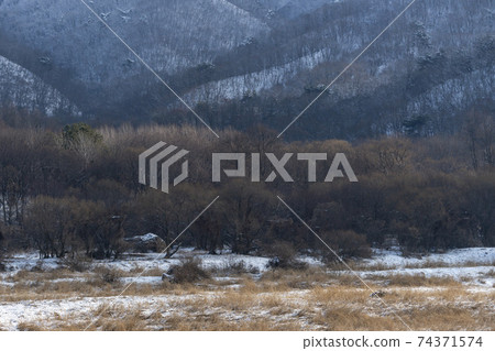 Demilitarized zone, Cheorwon-gun, Gangwon-do 74371574