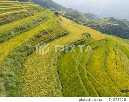 Aerial view of terrace rice field with small houses in China 74373626