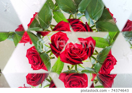 One rose, kaleidoscope 3 74374643
