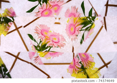 障子背景，非洲菊，六出，萬花筒2 74374649