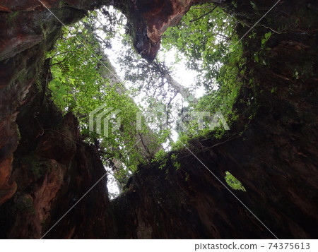 威爾遜股票 74375613