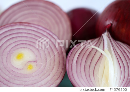 紫洋蔥的橫截面 紫洋蔥的橫截面 74376300