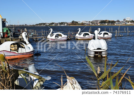 千葉縣千葉縣北部 74376911