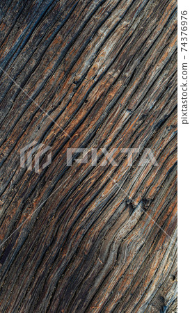 Dark wood texture. Close-up vertical wood picture Dark wood texture. Close-up vertical wood picture 74376976