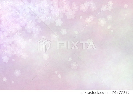 Fantastic cherry blossom background material, the season of full bloom Fantastic cherry blossom background material, the season of full bloom 74377232