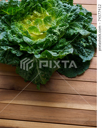 Korean fresh organic vegetable cabbage 74377412