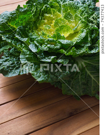 Korean fresh organic vegetable cabbage 74377413