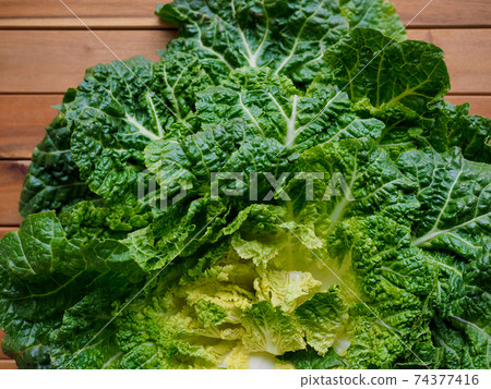 Korean fresh organic vegetable cabbage 74377416