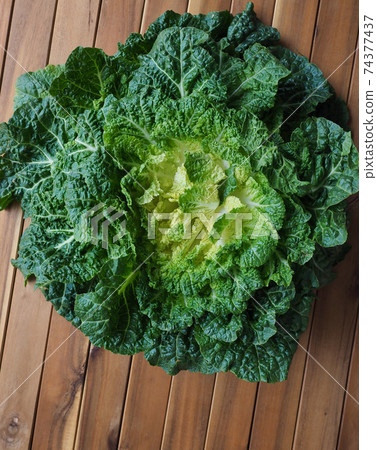 Korean fresh organic vegetable cabbage 74377437