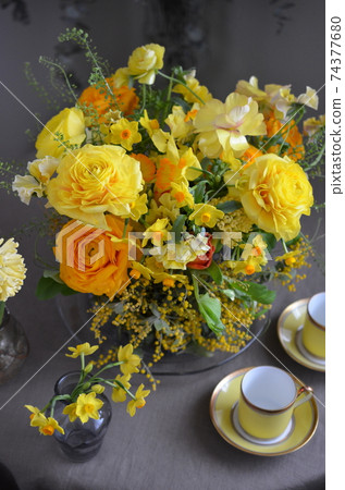 春橙花協調 74377680