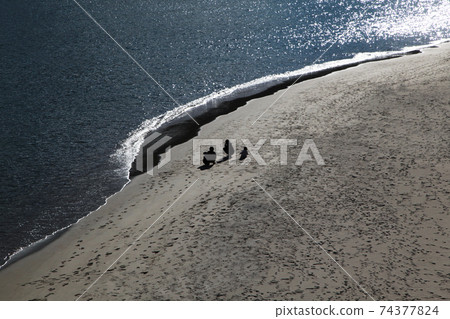 三個父母和孩子在黃昏時沿著海灘散步的熱海陽光海灘剪影 74377824