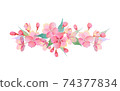 Sakura, Sakura (watercolor style) horizontal swag 74377834