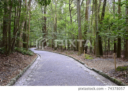 Ise Jingu Naiku Sakaki's approach 74378057