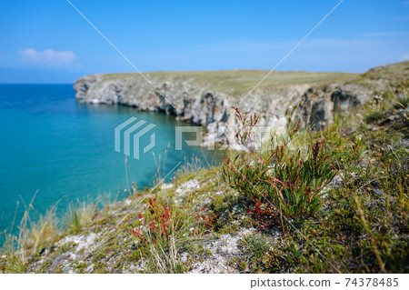 Plants on a long rocky shore above the azure water Plants on a long rocky shore above the azure water 74378485