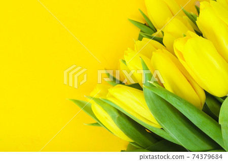 Bouquet of fresh yellow tulips 74379684