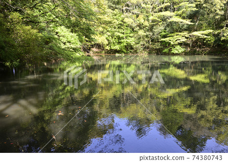 Ise Shrine Nakomiya Oike 74380743