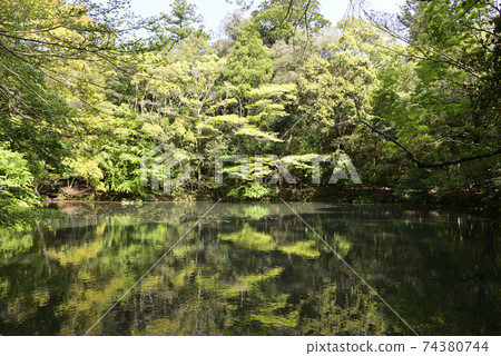 Ise Shrine Nakomiya Oike Ise Shrine Nakomiya Oike 74380744