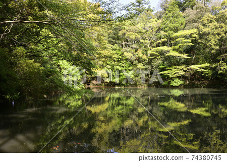 Ise Shrine Nakomiya Oike Ise Shrine Nakomiya Oike 74380745