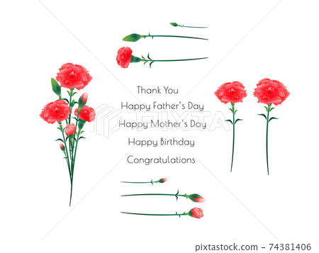 花朵材料set_carnation_red_可用多種變體 74381406