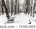 Mikhailovsky garden in St. Petersburg in winter 74381469
