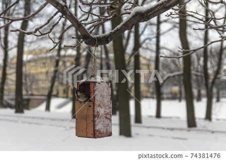 Bird feeder in the Mikhailovsky garden in St. Petersburg 74381476