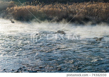 [Steam fog generated in Nakatsugawa in the early morning of January] 74382030