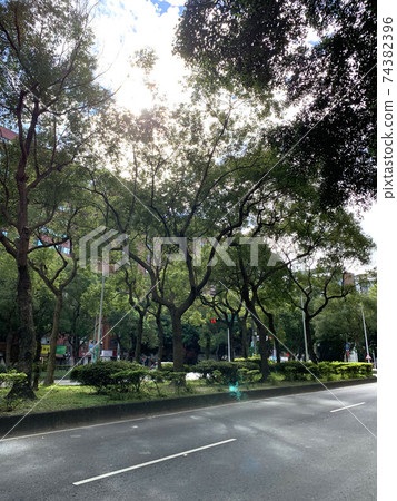 Taipei Holiday Green Road Taipei Holiday Green Road 74382396