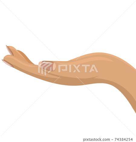Female or Woman hand opened and side view. Flat and solid color vector illustration. 74384254