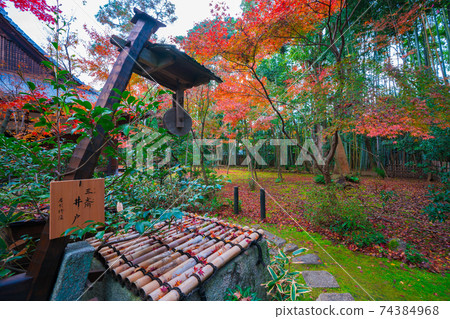 Sansai well and autumn leaves of Kotoin Temple, the tower temple of Daitokuji Temple in Kyoto 74384968