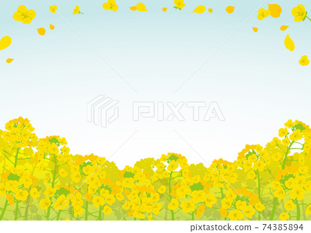 強姦開花插圖素材 強姦開花插圖素材 74385894