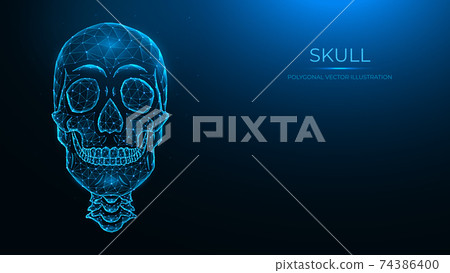 Polygonal vector illustration of a human skull, front view. Low poly anatomical model of the skull and cervical spine on dark blue background. 74386400