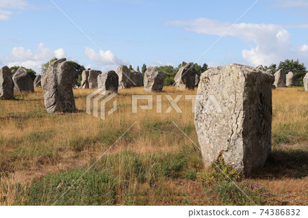 Carnac stones - Alignments of Kermario - rows of menhirs in Brittany Carnac stones - Alignments of Kermario - rows of menhirs in Brittany 74386832