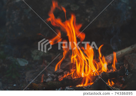 Small flame dying fire, bright red-orange flame. Cozy warm atmosphere by outdoors campfire recreation, burning wood. Small flame dying fire, bright red-orange flame. Cozy warm atmosphere by outdoors campfire recreation, burning wood. 74386895