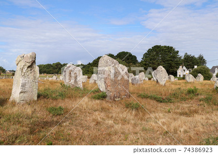 Alignments of Carnac - the largest megalithic site in the world, Carnac, Brittany Alignments of Carnac - the largest megalithic site in the world, Carnac, Brittany 74386923