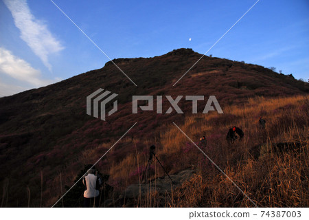 麗水市，龍頭山，杜鵑花，春天，日出 74387003
