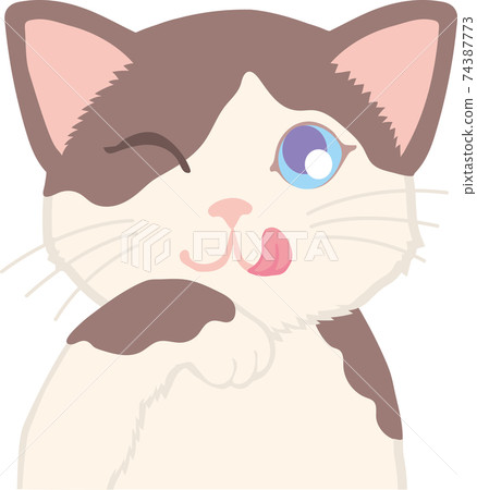 Cat licking hand Cat licking hand 74387773