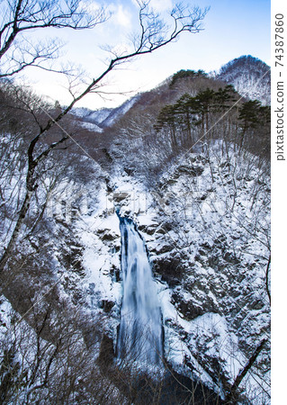 Winter's Akiho Otori 74387860