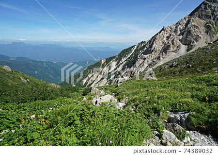 Midsummer Mt. Shirouma: View near Iwamuro, Mt. Shakushi, and blooming alpine plants Midsummer Mt. Shirouma: View near Iwamuro, Mt. Shakushi, and blooming alpine plants 74389032