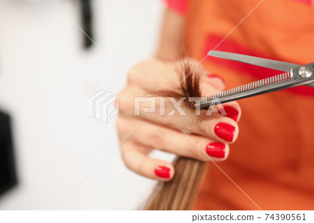 Hand of aster hairdresser holds split ends and scissors Hand of aster hairdresser holds split ends and scissors 74390561