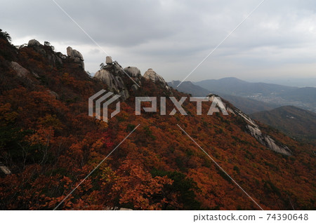 Dobongsan. Obong. Manjangbong. Autumn. Maple. National Park Dobongsan. Obong. Manjangbong. Autumn. Maple. National Park 74390648