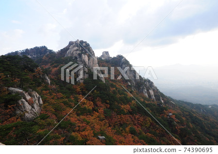 Dobongsan. Obong. Manjangbong. Autumn. Maple. National Park Dobongsan. Obong. Manjangbong. Autumn. Maple. National Park 74390695