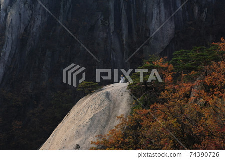Dobongsan, 五峰, Manjangbong, 秋天, 秋葉, 國家公園 Dobongsan, 五峰, Manjangbong, 秋天, 秋葉, 國家公園 74390726