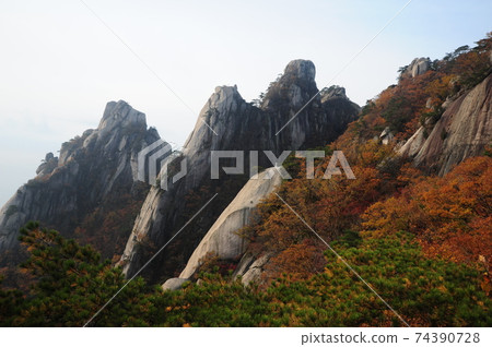 Dobongsan, 五峰, Manjangbong, 秋天, 秋葉, 國家公園 74390728