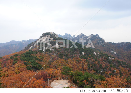 Dobongsan. Obong. Manjangbong. Autumn. Maple. National Park Dobongsan. Obong. Manjangbong. Autumn. Maple. National Park 74390805