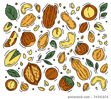 Nuts and Seeds set of icons in the Doodle style. Nuts and Seeds set of icons in the Doodle style. 74391814
