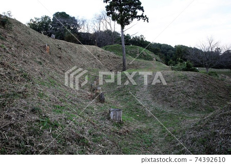 杉山城 74392610