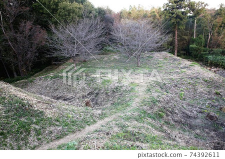 Sugiyama Castle 74392611