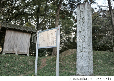 杉山城 74392614